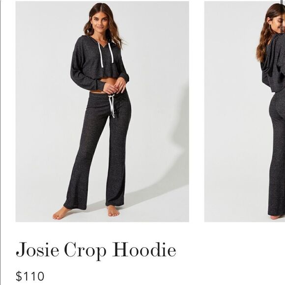 Beach Bunny Cropped Hoodie - Picture 1 of 4